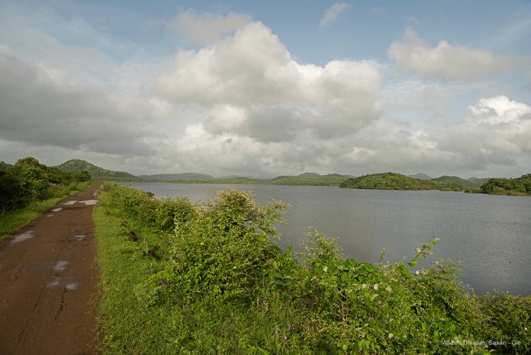 sasan gir near tourist places