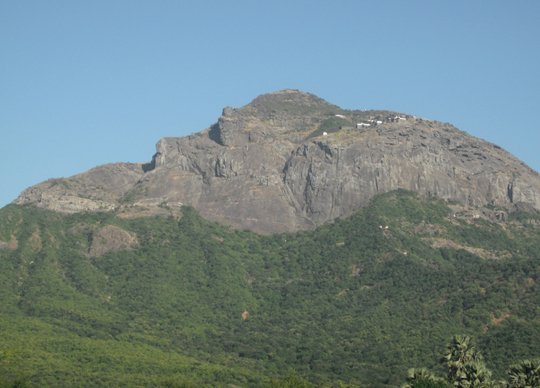 sasan gir near tourist places